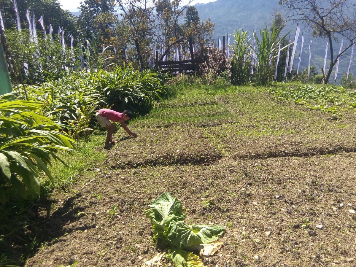 Martam Farmhouse Pelling Buitenkant foto