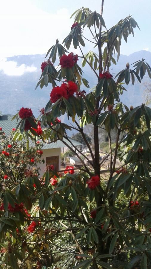 Martam Farmhouse Pelling Buitenkant foto