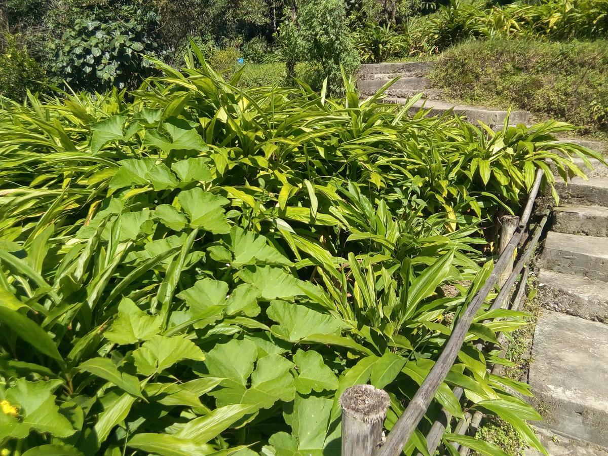 Martam Farmhouse Pelling Buitenkant foto